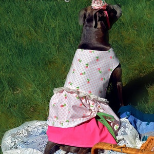 Poppy's Peekaboo Dress for Large Breed Dogs PDF Pattern sizes XS to XL image 5