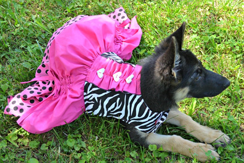 Poppy's Peekaboo Dress for Large Breed Dogs PDF Pattern sizes XS to XL image 8