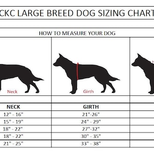 Poppy's Peekaboo Dress for Large Breed Dogs PDF Pattern sizes XS to XL image 10