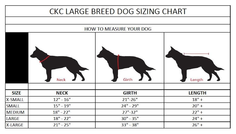 Poppy's Peekaboo Dress for Large Breed Dogs PDF Pattern sizes XS to XL image 10