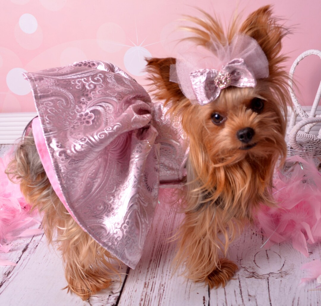 open lace back dress Designer Handmade "Scarlett" Dog Party Dress | Poshdoglife.com