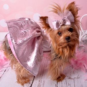 Paris' Party Dress for Small Breed Dogs PDF Pattern Sizes XS to XL