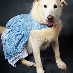 Poppy's Peekaboo Dress for Large Breed Dogs PDF Pattern sizes XS to XL image 7