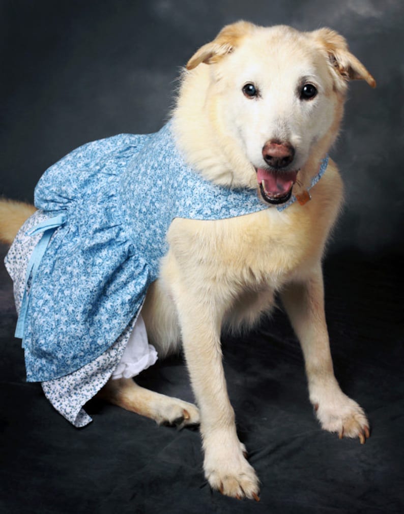 Poppy's Peekaboo Dress for Large Breed Dogs PDF Pattern sizes XS to XL image 7