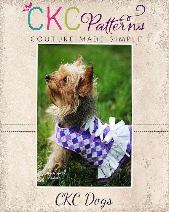 Charlotte's top dress dog