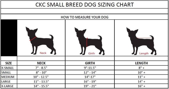 Small hotsell dogs size