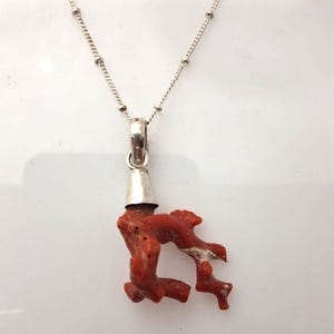 May include: A silver necklace featuring a pendant made of natural red coral. The coral has a unique, organic shape and is attached to a silver cap. The necklace chain is delicate and silver.