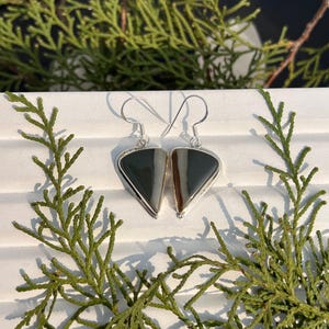 May include: A pair of silver earrings with a triangular, layered stone design. The stones feature shades of black, gray, and brown. The earrings are displayed on a white surface with green foliage in the background.