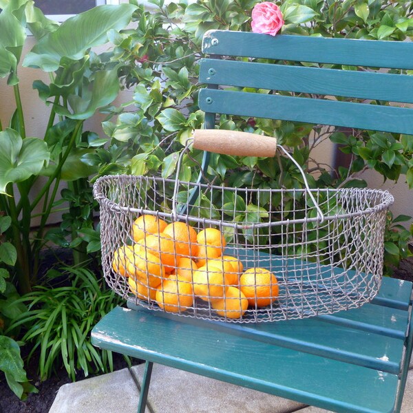 Vintage Wire Basket Rustic Garden Harvest Basket Farm Veggie Basket French