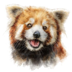 6 Red Panda Clipart, Red Panda Face Clipart, Watercolor Red Panda Head Clipart, High Quality PNG & JPG, Digital Download, 069
