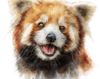 6 Red Panda Clipart, Red Panda Face Clipart, Watercolor Red Panda Head Clipart, High Quality PNG & JPG, Digital Download, 069