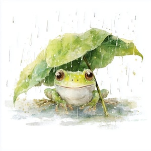 傘を持ったカエルのクリップアート、気まぐれなカエルのクリップアート、雨のクリップアート、水彩画のカエルのクリップアート、高品質のPNGとJPG、デジタルダウンロード、031