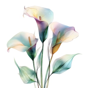May include: An artistic rendering of calla lilies in soft pastel colors. The image features three flowers with delicate, translucent petals in shades of lavender, yellow, and blue. Green stems and leaves complete the floral arrangement against a white background.