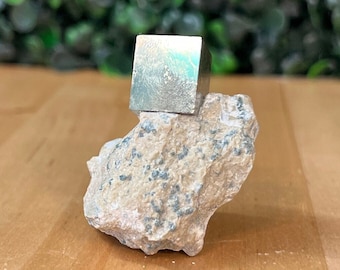 Pyrite Cube Specimen Crystal Mexico Pyrite Cube Matrix