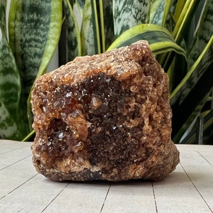Brown Sugar Citrine from Morocco Natural Untreated Unheated
