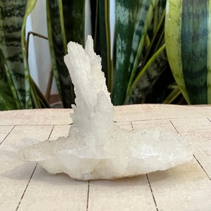 Aragonite Specimen Natural Growth Specimen Crystal
