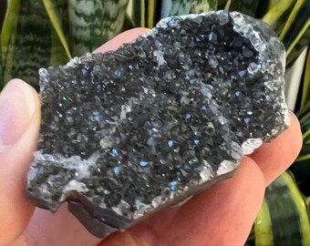 ブラックギャラクシーアメジスト 浄化 山模様 森 幸運 ドーム ドゥルージー ブラックギャラクシーアメジスト 浄化 山模様 森 幸運 ドーム ドゥルージー