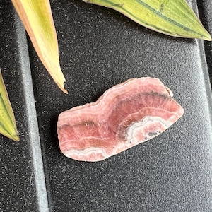 Rhodochrosite Slab Bacon High Quality Small Argentina