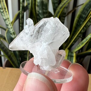 Faden Quartz Specimen Pakistan