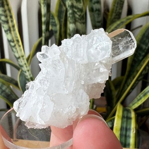 Faden Quartz Specimen Pakistan
