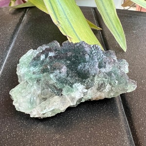 Fluorite and Tungsten Specimen Cubic Purple Green