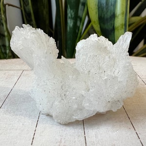 Aragonite Specimen Natural Growth