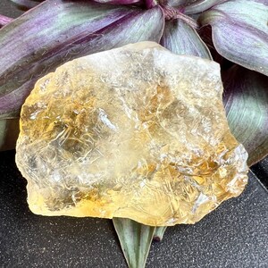 Treated Citrine Rough Quartz Crystal