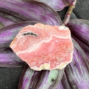 Rhodochrosite Slab Bacon High Quality Small Argentina
