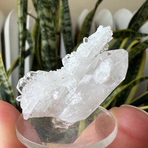 Faden Quartz Specimen Pakistan