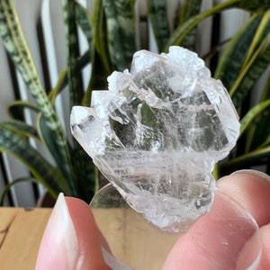 Faden Quartz Specimen Pakistan