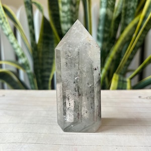 Garden Quartz Freeform Crystal Terrarium Look Lodolite Zambia