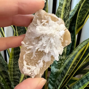 Aragonite Specimen Natural Growth Crystal
