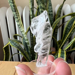 Faden Quartz Specimen Pakistan