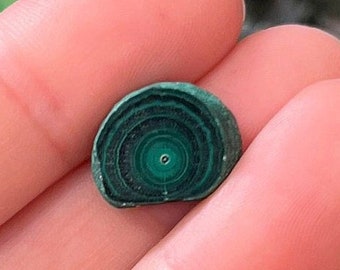 Malachite Slice Specimen Stalactite Malachite Slices Polished