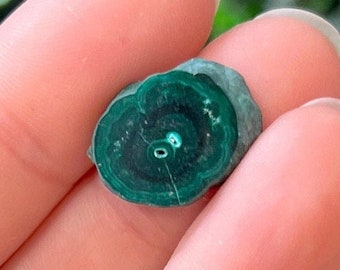 Malachite Slice Specimen Stalactite Malachite Slices Polished