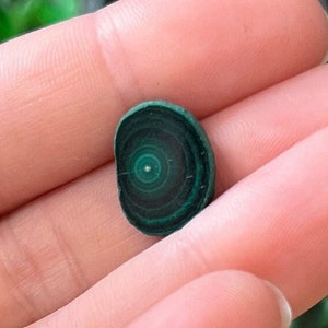 Malachite Slice Specimen Stalactite Malachite Slices Polished