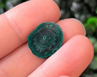 Malachite Slice Specimen Stalactite Malachite Slices Polished