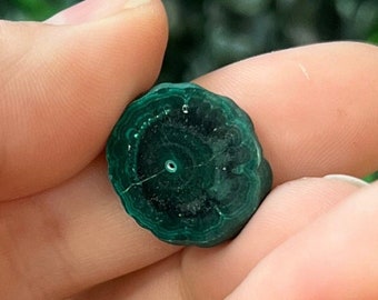 Malachite Slice Specimen Stalactite Malachite Slices Polished