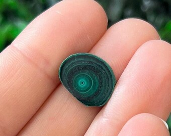 Malachite Slice Specimen Stalactite Malachite Slices Polished