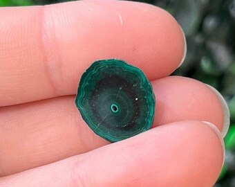 Malachite Slice Specimen Stalactite Malachite Slices Polished