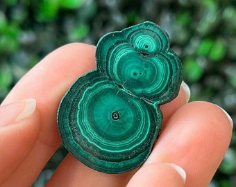 Malachite Slice Specimen Stalactite Malachite Slices Polished