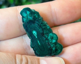 Malachite Slice Specimen Stalactite Malachite Slices Polished