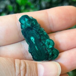 Malachite Slice Specimen Stalactite Malachite Slices Polished