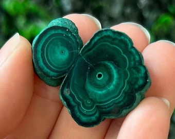 Malachite Slice Specimen Stalactite Malachite Slices Polished