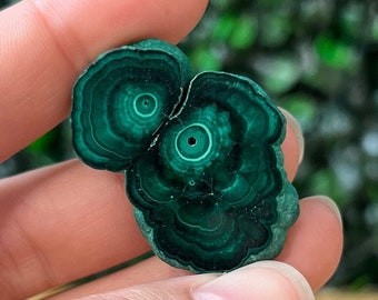 Malachite Slice Specimen Stalactite Malachite Slices Polished