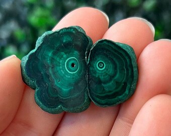 Malachite Slice Specimen Stalactite Malachite Slices Polished