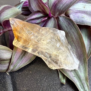 Treated Citrine Rough Quartz Crystal