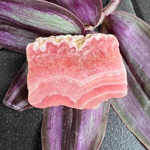 Rhodochrosite Slab Bacon High Quality Small Argentina