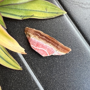 Rhodochrosite Slab Bacon High Quality Small Argentina