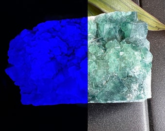 UV Reactive Fluorite Green Glows Blue Specimen Mexico Cubic